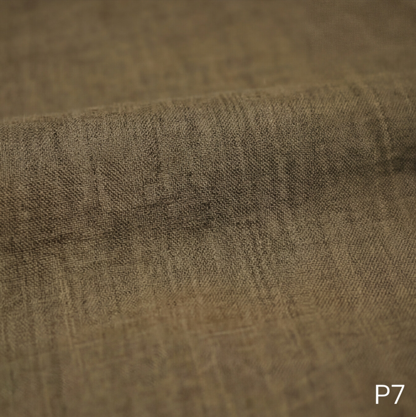 Golden Beige / Warm Khaki